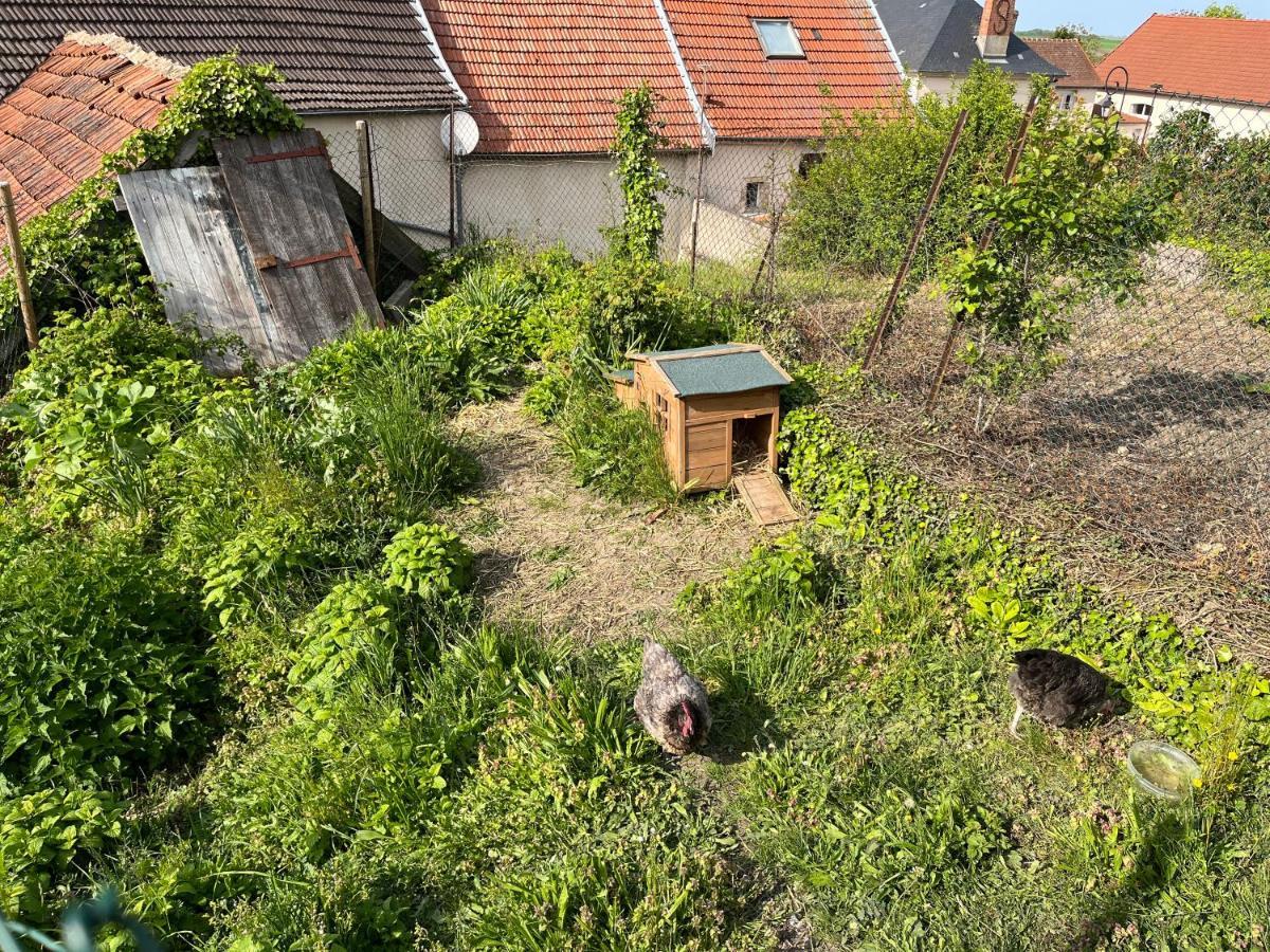 2 chambres dans maison de campagne avec piscine intérieure Lagery Exterior foto